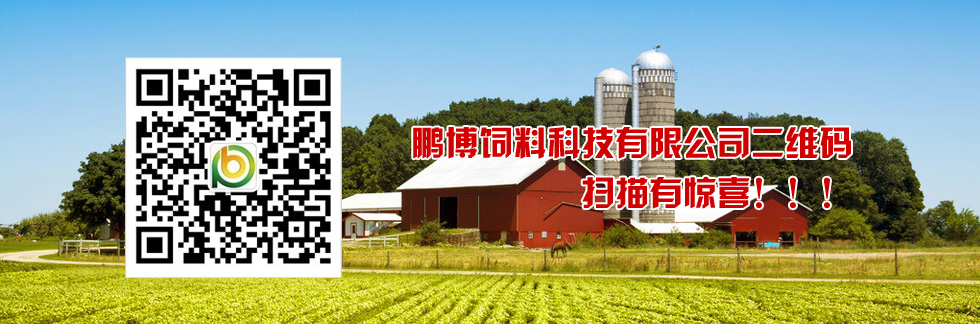 鵬博二維碼，掃描有驚喜！